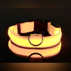 Glow in the Dark Collar